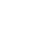 Fast Delivery
