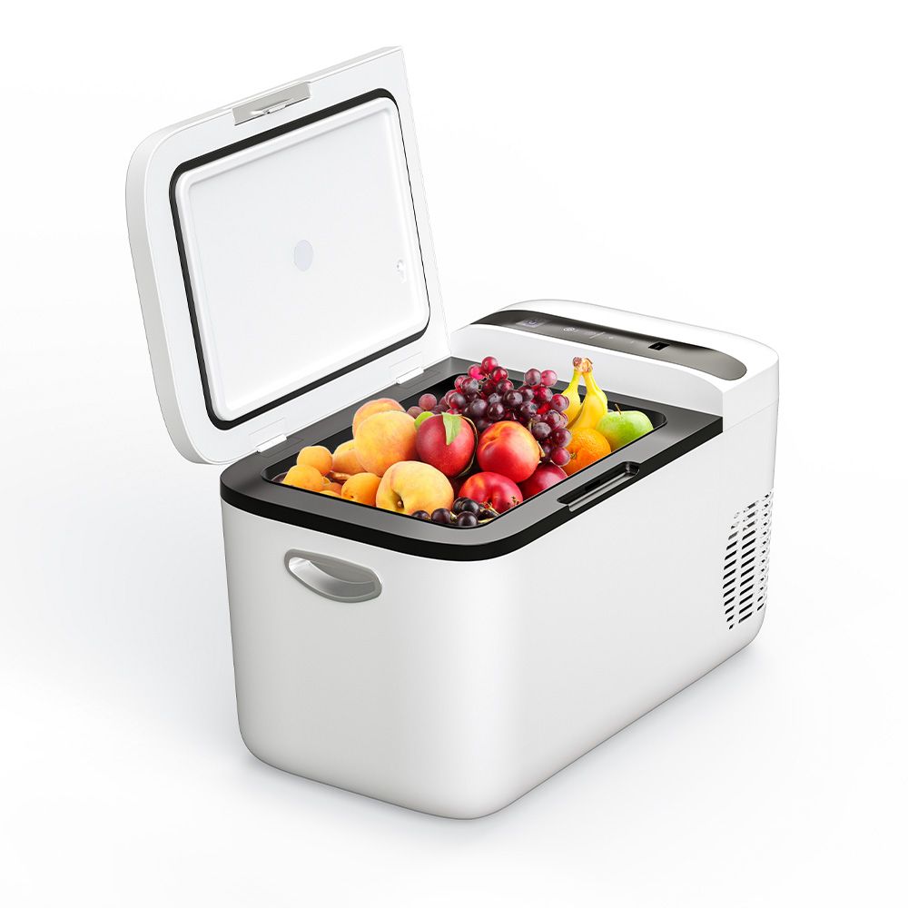 Portable 22L Compressor Mini Electric Refrigerator 12/24V Car Freezer Cooler with 12V 220V Plastic Material for Cars