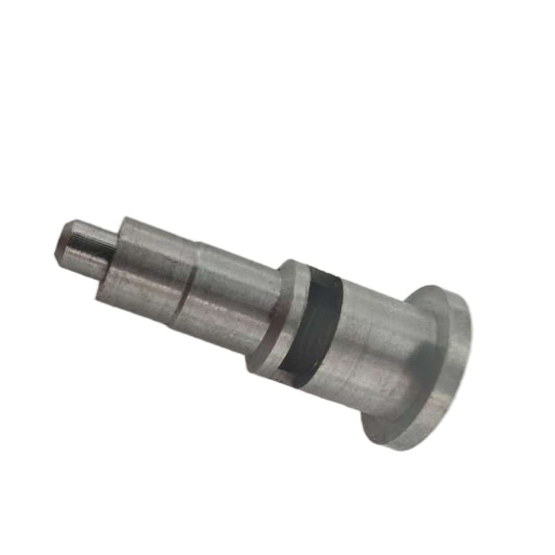 Construction Machinery Parts Diesel Fuel Injection Pump Plunger 2 418 455 415 2455/415 Plunger